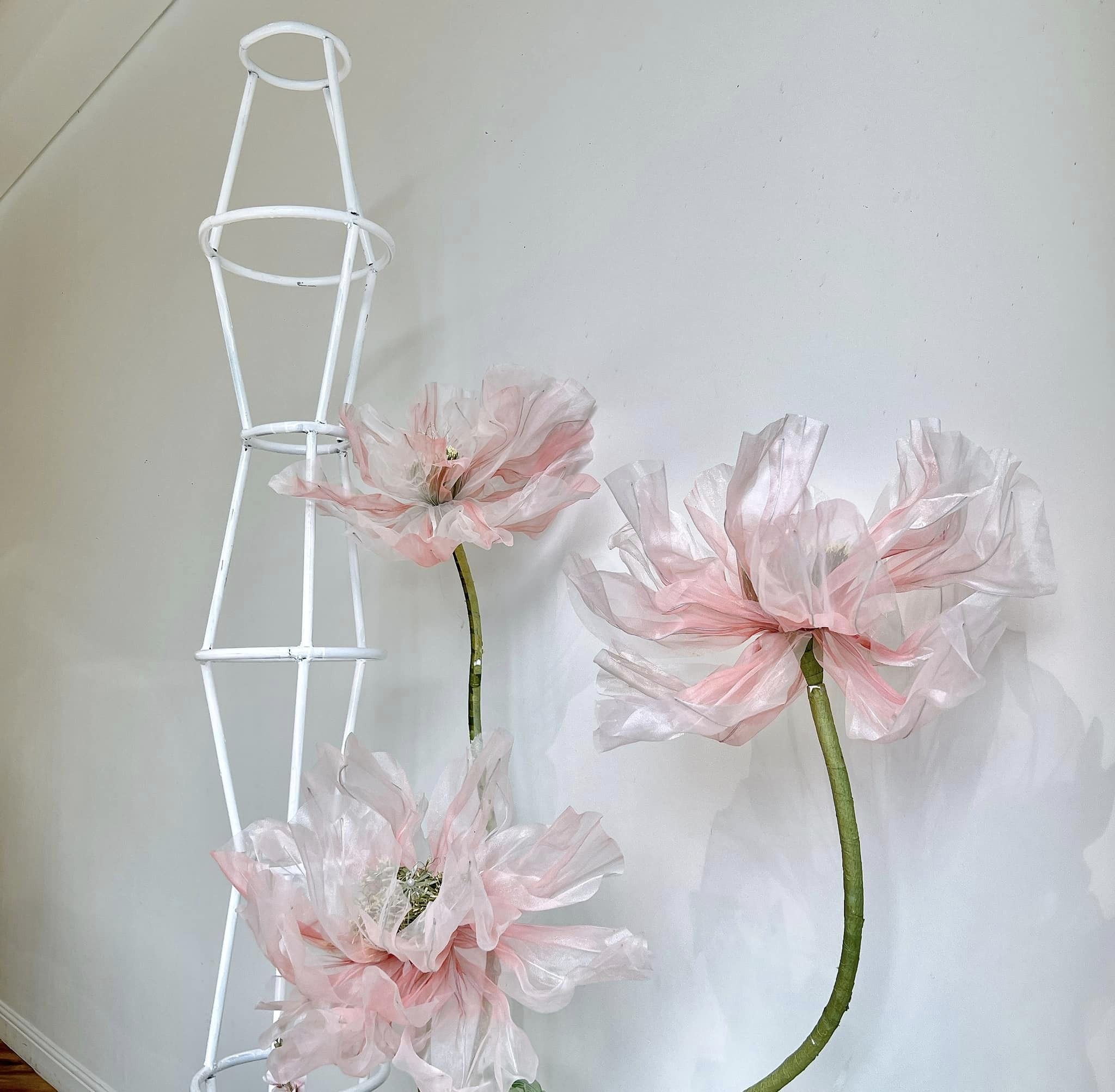 Lễ Nhận Xe Mới 2 cục cưng Như Myô & Hoàng Vinh 2