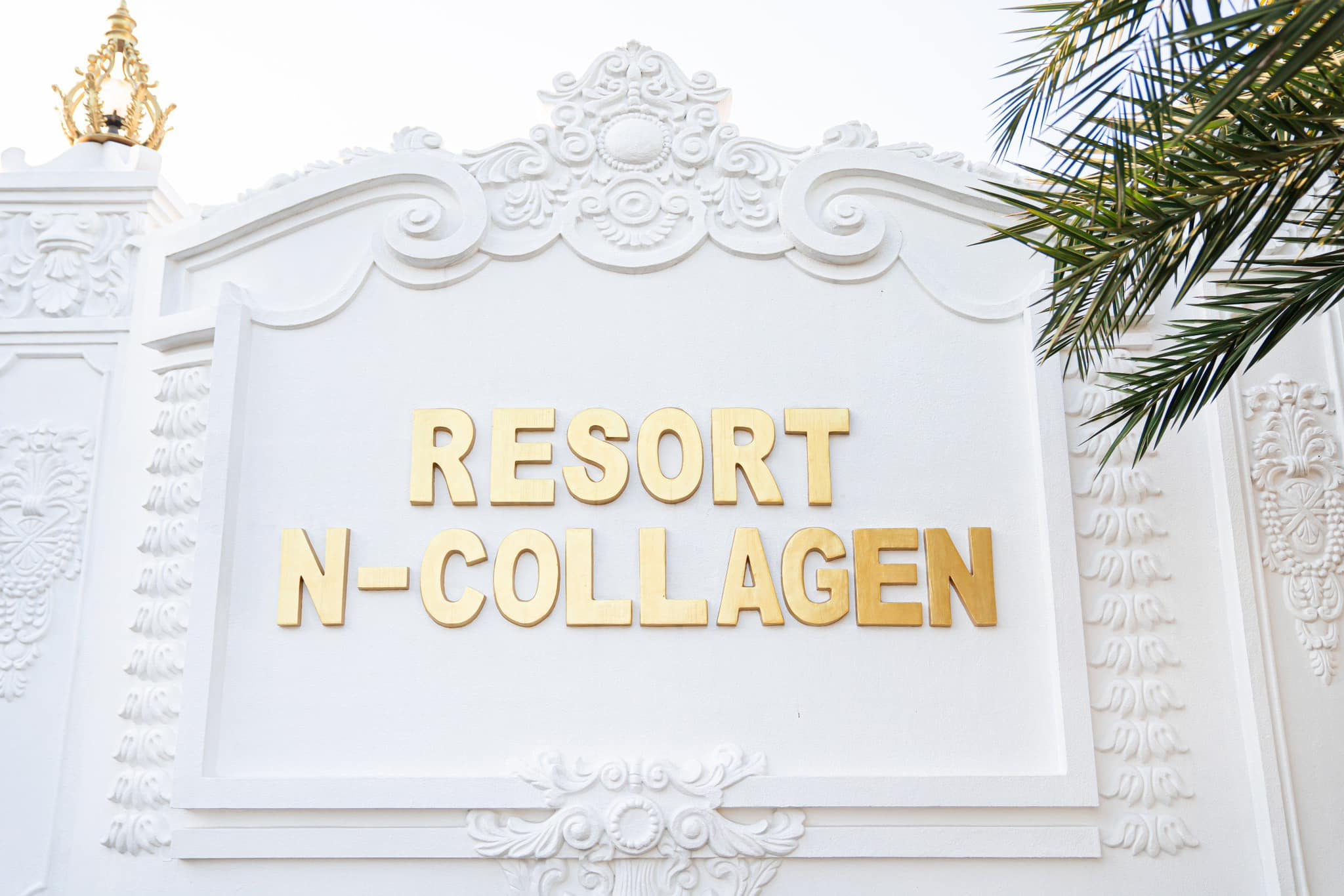 tiệc tất niên Tập Đoàn Mỹ Phẩm N-Collagen-12